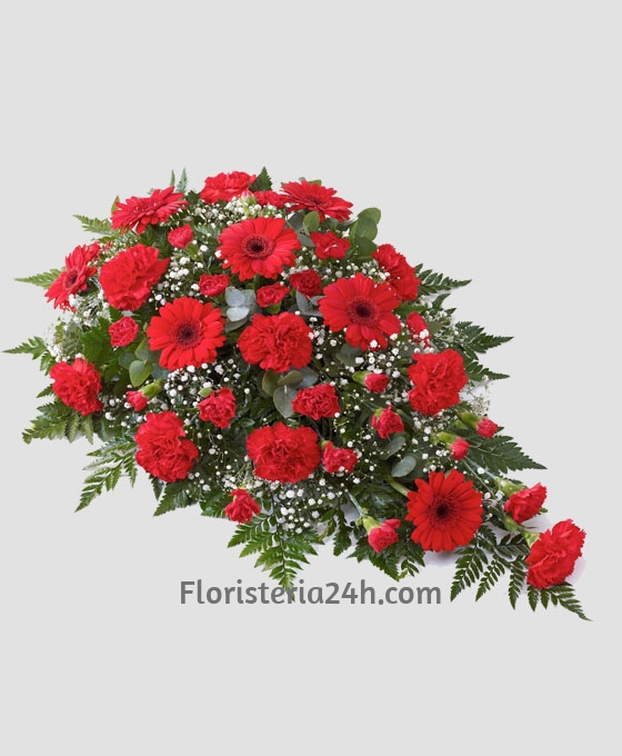 Centro Funerario Rojos
